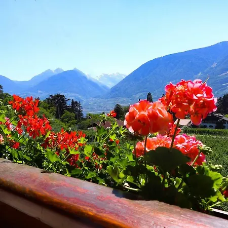 Guesthouse Pension Grafenstein Hotel Merano